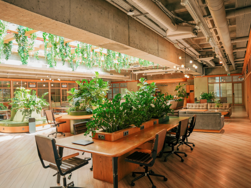 קבלן עבודות גמר יסודות ישראל